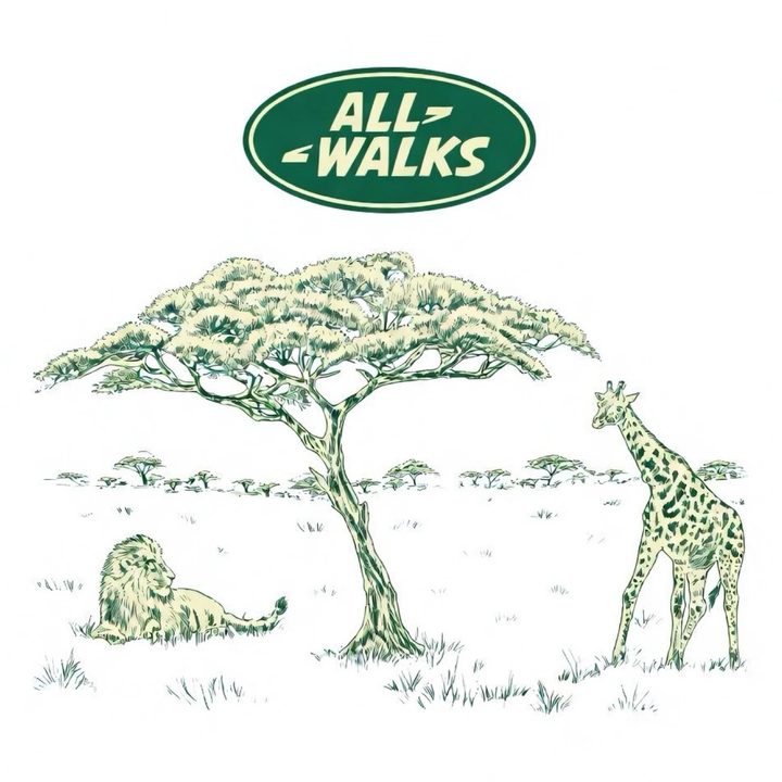 All Walks safari — lion and giraffe under an acacia